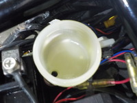 DSCN6595