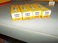 DSCN4788