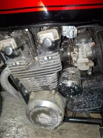 DSCN4392