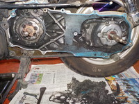 DSCN8575