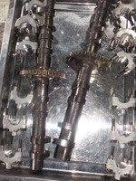 DSCN4817