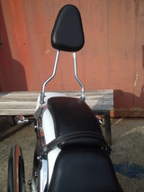 ds400ws20120830 (7)