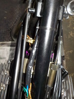 DSCN2362