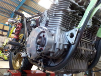 DSCN6331