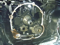 P1010225