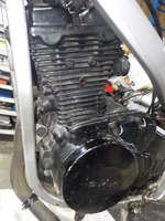 DSCN5349
