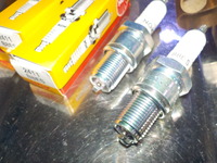 DSCN8608