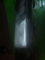 P1180671