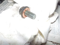 DSCN8520