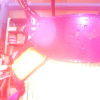 DSCF5997