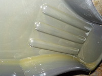 DSCN5585