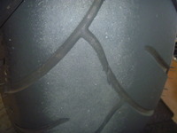P1200680