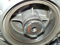 DSCN8442