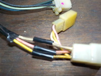 DSCN2541