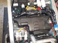DSCN5302