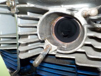 DSCN6500