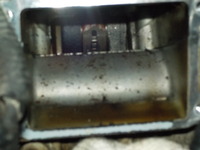 DSCN5587
