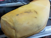 DSCN4336