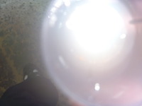 P1130121