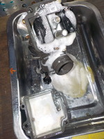 DSCN7594