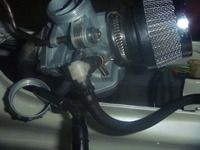 P1050928