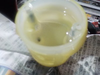 DSCN5915
