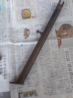 DSCN4311