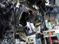 DSCN7841