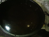 xelvis20111207ws (9)