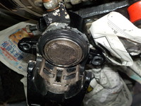 DSCN6140