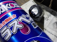 DSCN3872