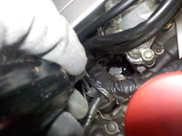 DSCN0101