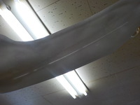 DSCN5423