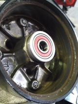 monky88cc20111004ws (7)