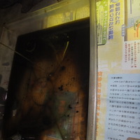 DSCF3366