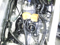 Image0001