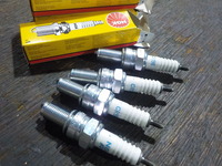 DSCN6538
