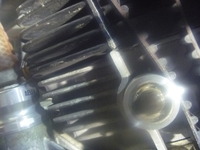 P1020029