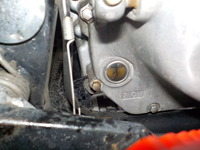 DSCN2231