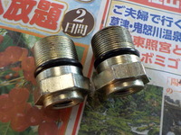 DSCN6530