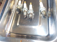 DSCN6185