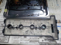 DSCN6315