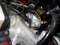 DSCN6534