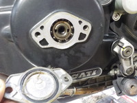 DSCN5726