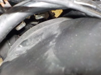 DSCN8406