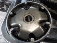 DSCN1964