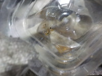 DSCN1262