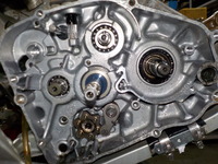 DSCN9142