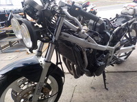 DSCN5161