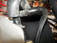 DSCN4390